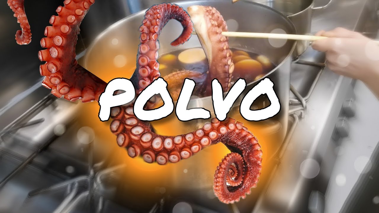 COMO COZINHAR O POLVO DEIXANDO ELE MACIO!!!