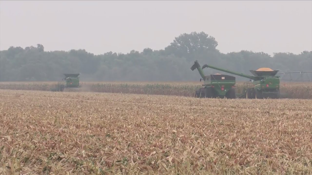 Recent Economic Pressure Leading Farmers To Declare Chapter 12 Bankruptcy