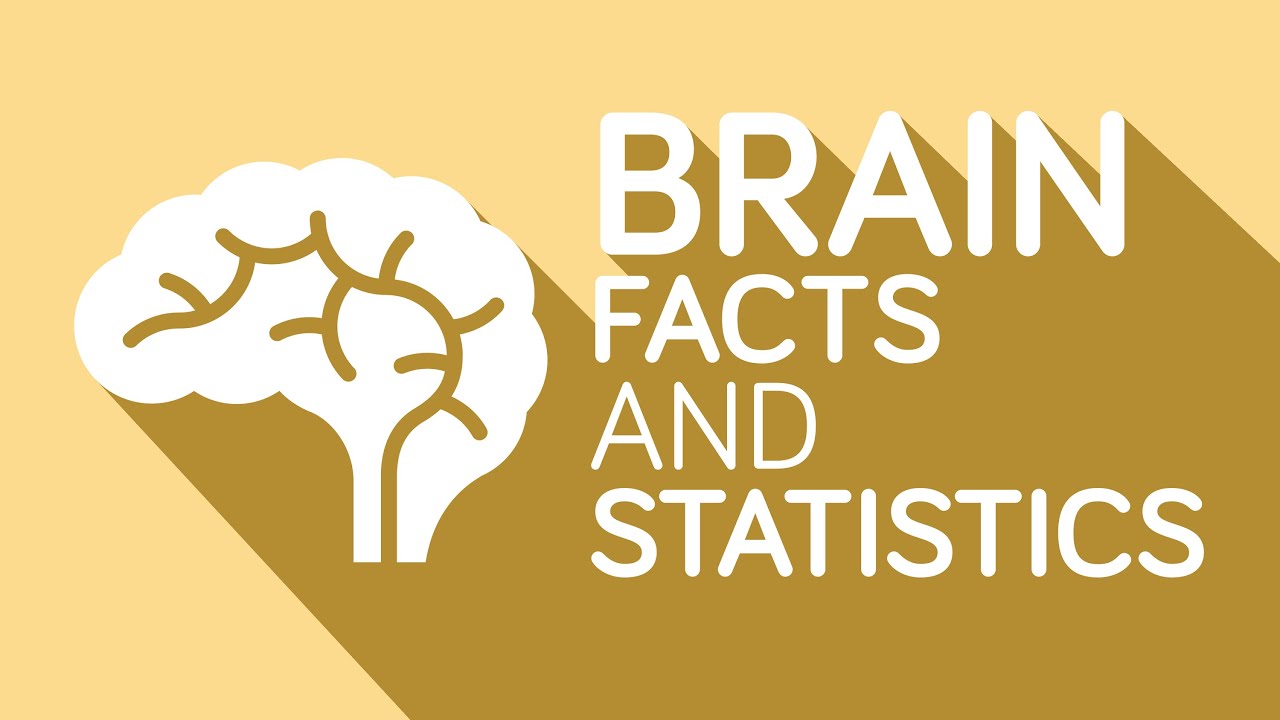 Interesting Facts You Didn&rsquo;t Know About Your Brain
