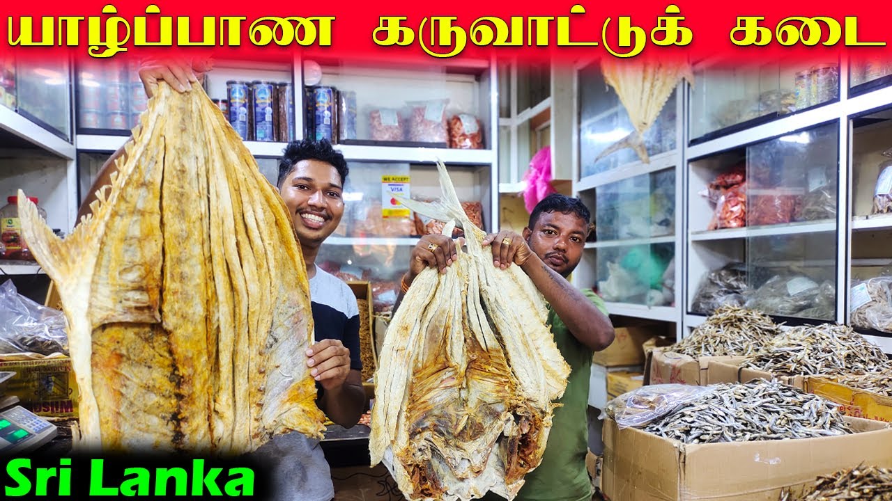 யாழில் அனைத்து கருவாடுகளும் ஒரே இடத்தில் 🦈| Jaffna Dry Fish Shop | Varan Stores | Sri Lanka