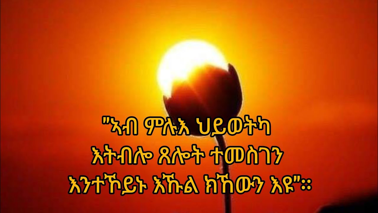 freweyni Tube ፈረወይኒ ዩቱብ is live