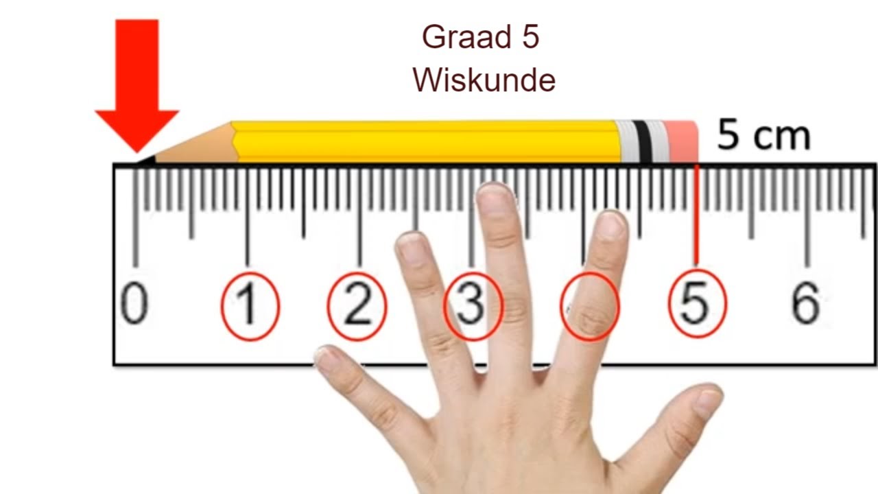 Graad 5 Wiskunde Lengte herleiding padda