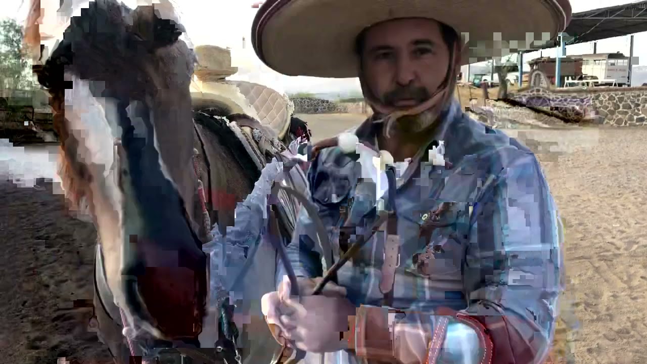 El uso de ayudas (bajadores, martingalas, diademas, etc)