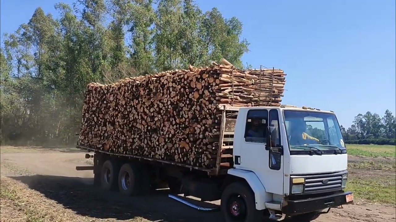 Borde Carregado com 40 Metros de Lenha 🌲🔥 | Lenha de Eucalipto na Carvoeira