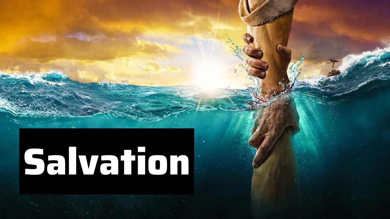 The Message - Salvation - John 316