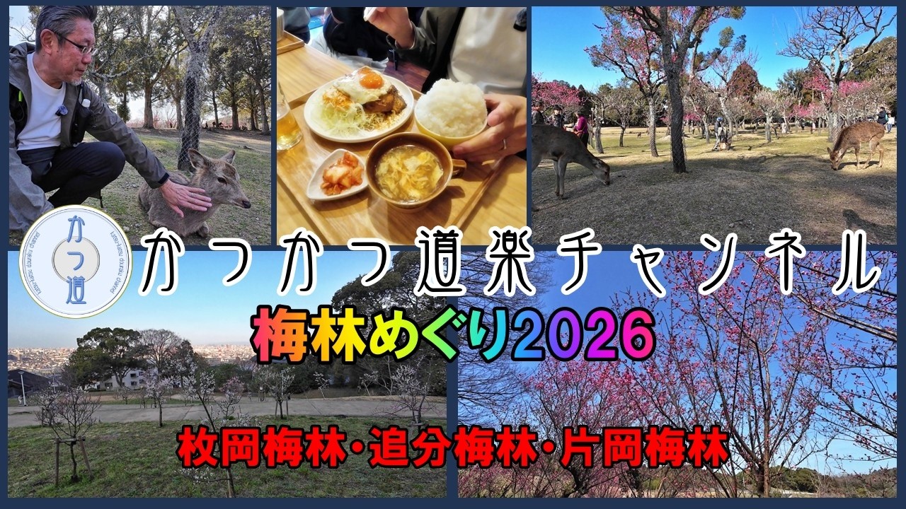 【かつ道－64】梅林めぐり2026－枚岡梅林・追分梅林・片岡梅林を28kmのウォーキングで巡りました・・・今回のランチは奈良新大宮の「米騒動」
