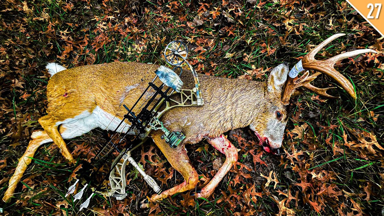 HUNTING LOCKED DOWN BUCKS in the Rut (11 Yard SHOT!)