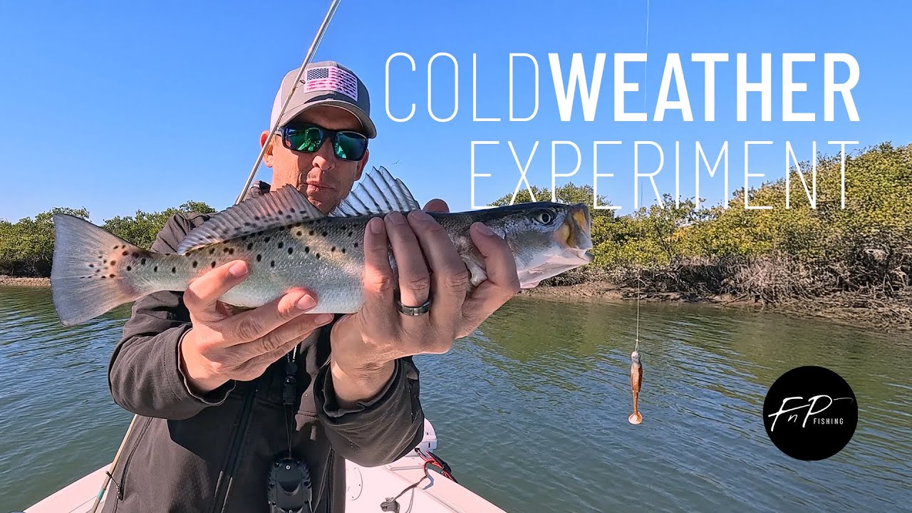 COLD Weather Speckled Trout Fishing Experiment