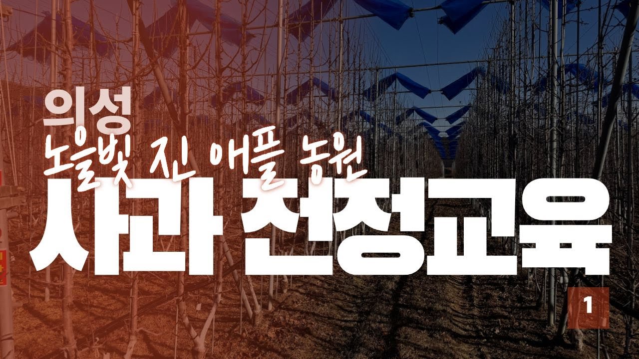 의성 노을빛 진 애플농원 동계 전정교육 1