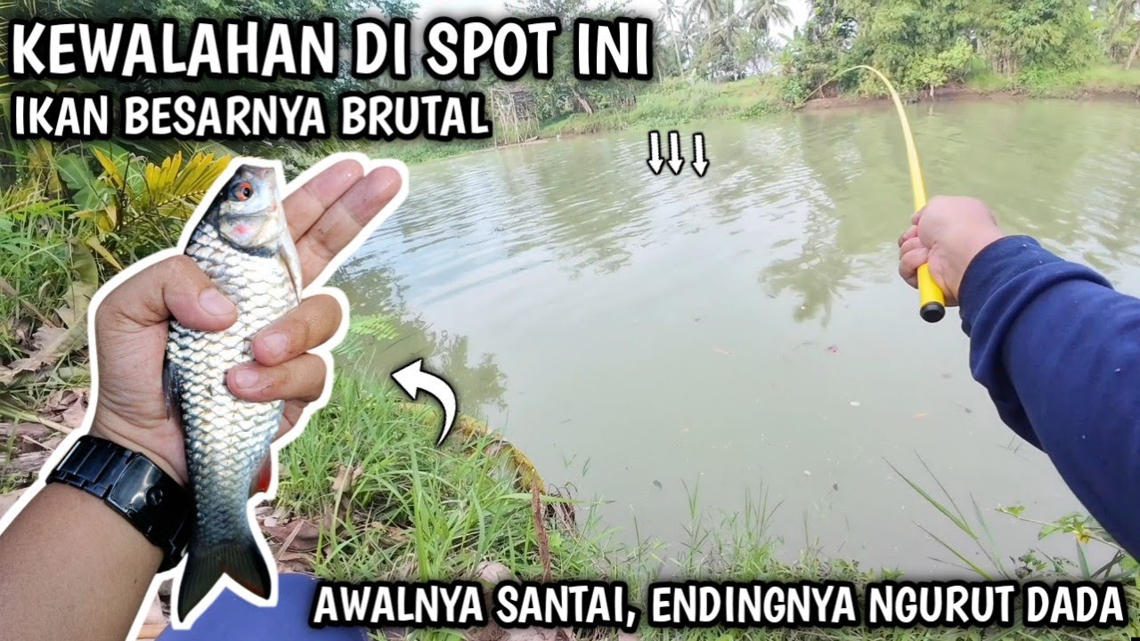 SPOT MANCING WADER PALING GANAS ‼️ SENAR GAK KUAT, 4 KALI PUTUS TAK TERSISA 🎣🔥