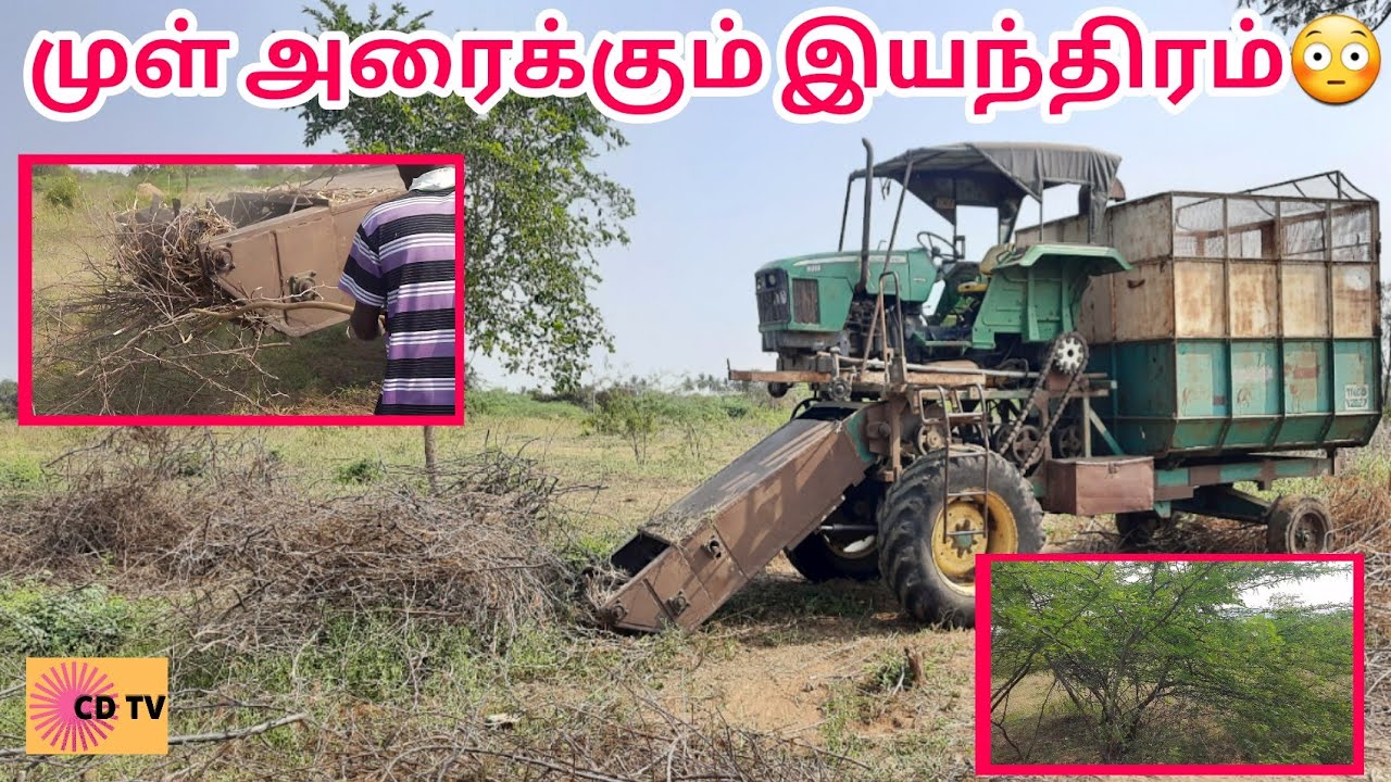Prosopis Juliflora Waste Grinding Machine|PaperMill|เครื่องบดขยะ|Máquina de moagem|Corona Digital tv