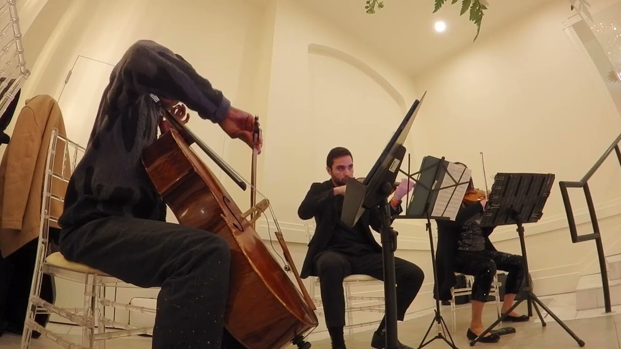 Enchanted by Taylor Swift - String Trio by Serenata Strings DFW