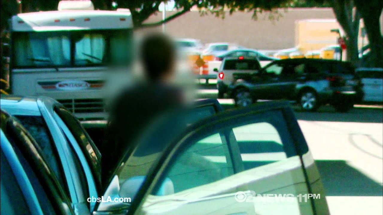 CBS 2 I PLACARD GOLDSTEIN.mov