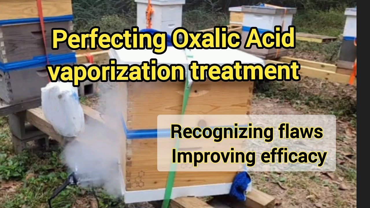 Perfecting Oxalic Acid Vaporization (OAV)