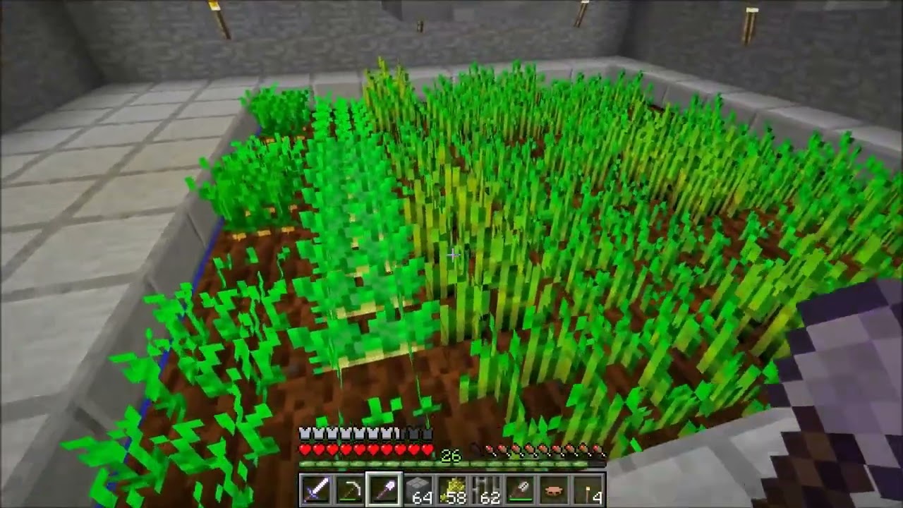 Minecraft pro začátečníky (18. díl) Knihovna, most a dostavba základny