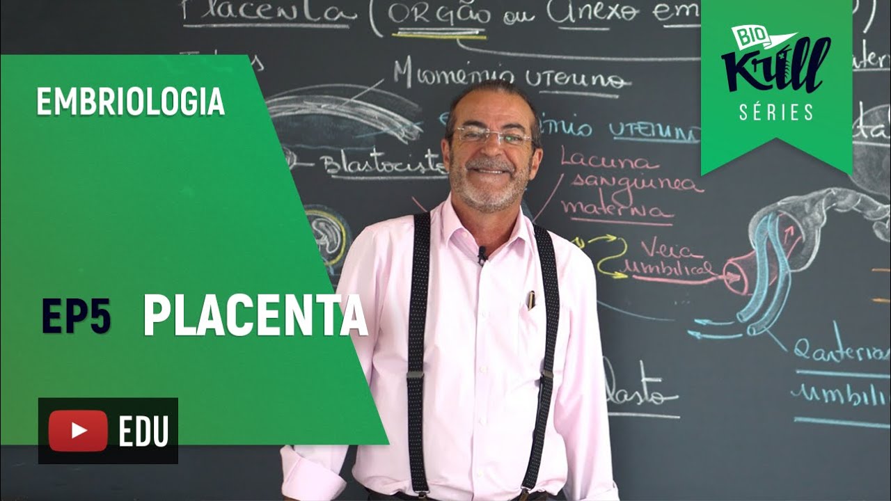 Placenta (Embriologia - EP 5) | Biokrill Series