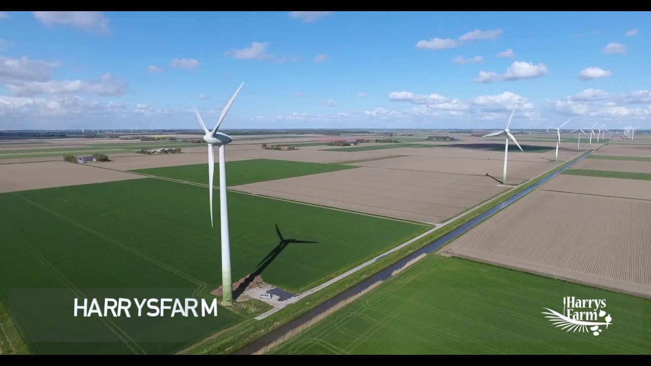 Harrysfarm in 85 seconden. Trailer Harrysfarm jaaroverzicht 2017