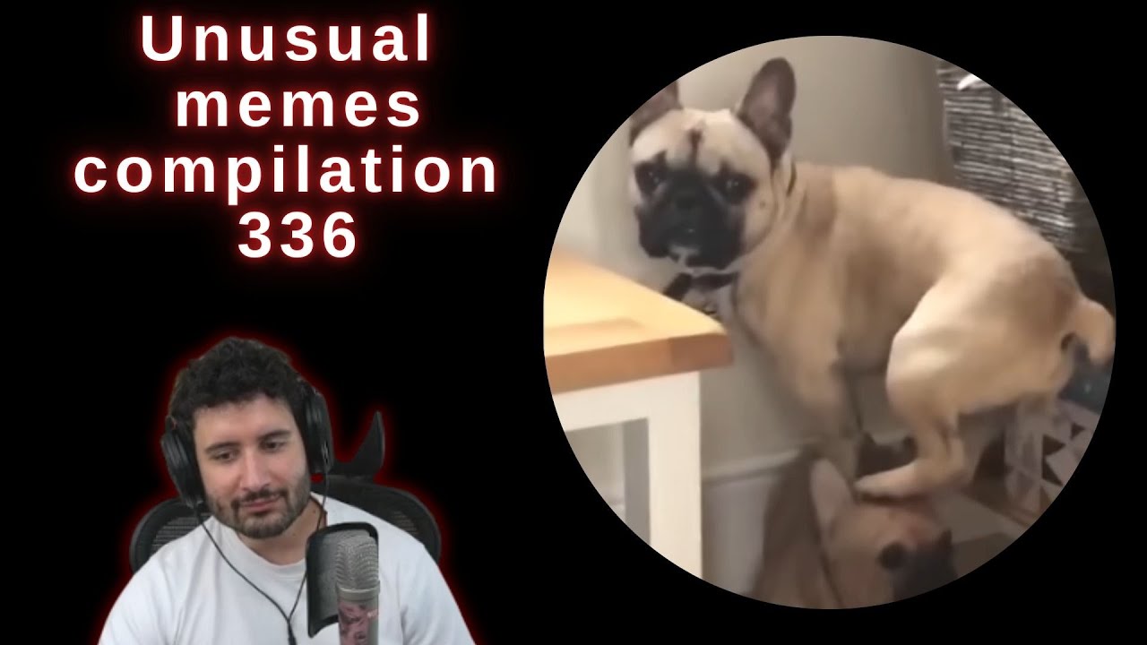 NymN reacts to UNUSUAL MEMES COMPILATION V336