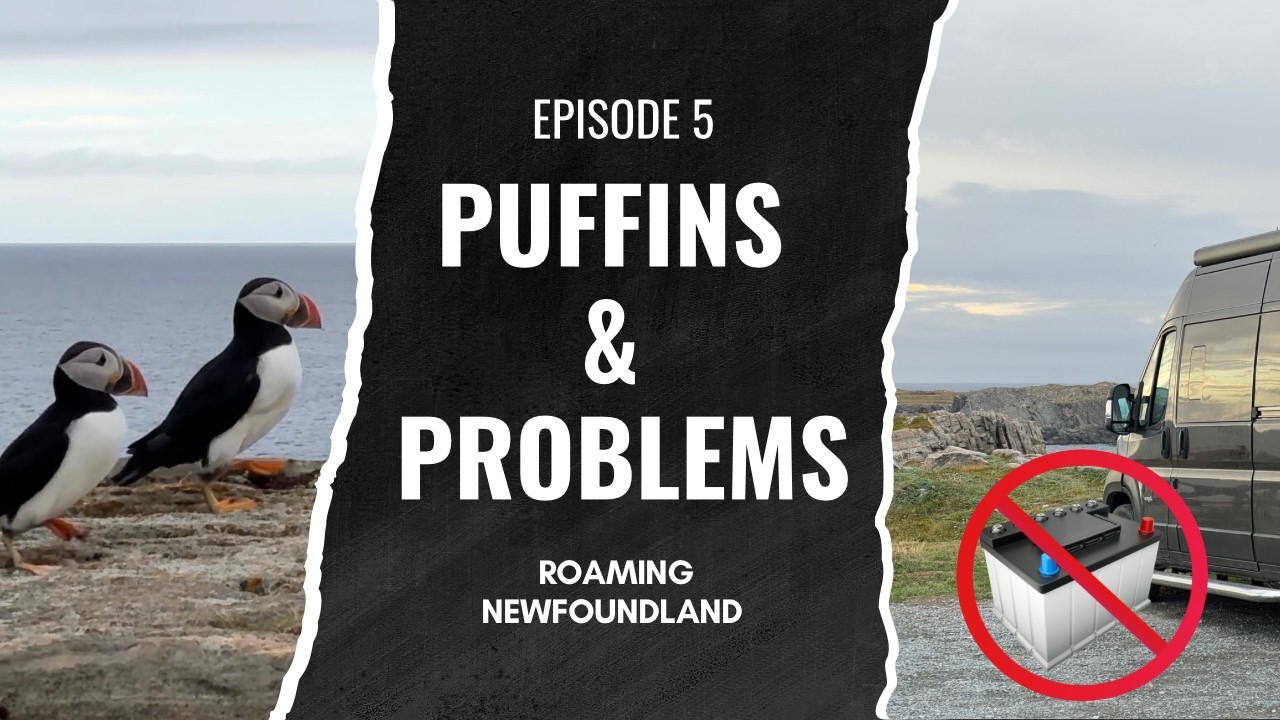 Puffins, Trinity and Trouble   Boondocking Bonavista Peninsula