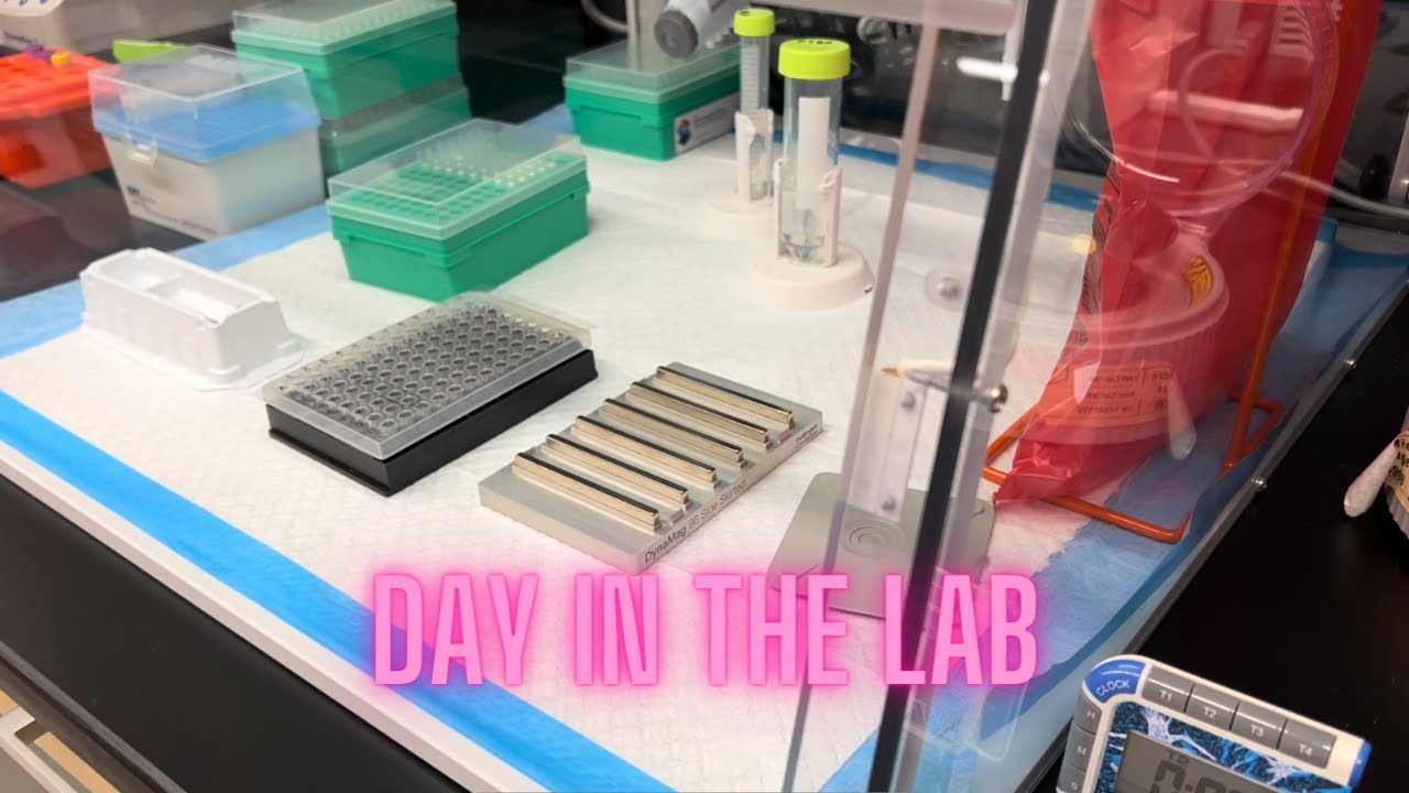 In the lab doing some NGS (next gen sequencing) + Enchant
