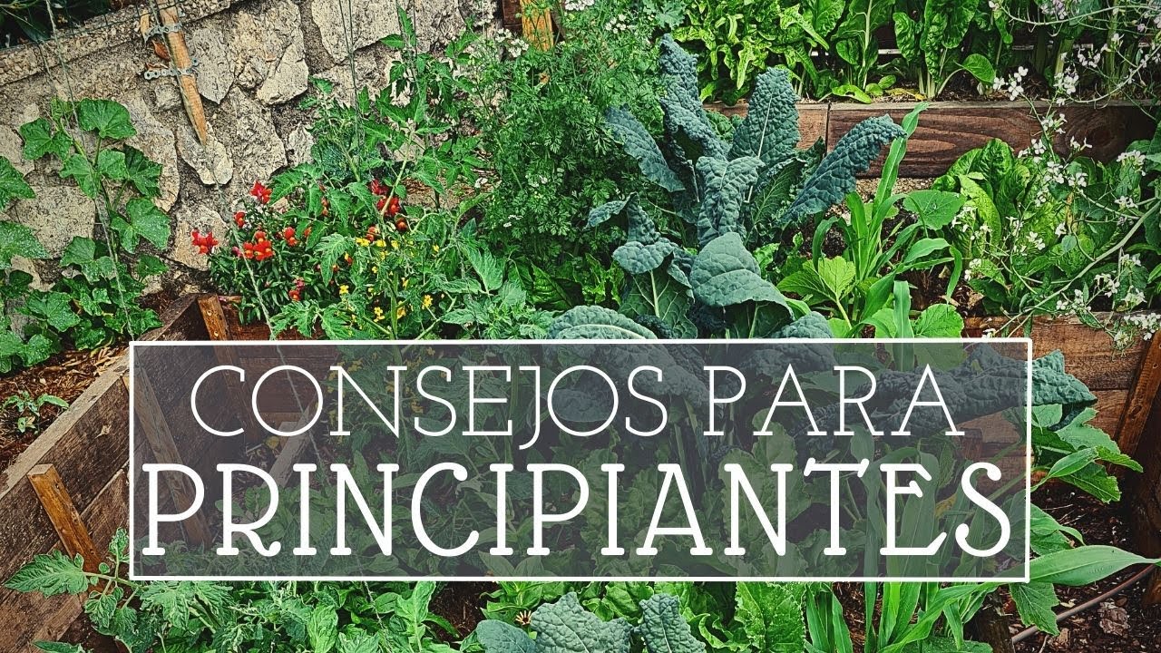 10 +1 Consejos para empezar un huerto