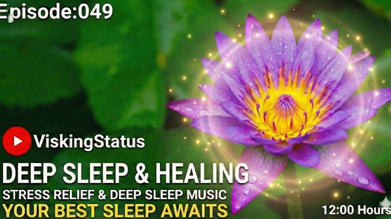 Ep49 | 12 Hours of Deep Sleep Music Forest Rain & Healing Frequencies (No Mid-Roll Ads) #slowmotion 