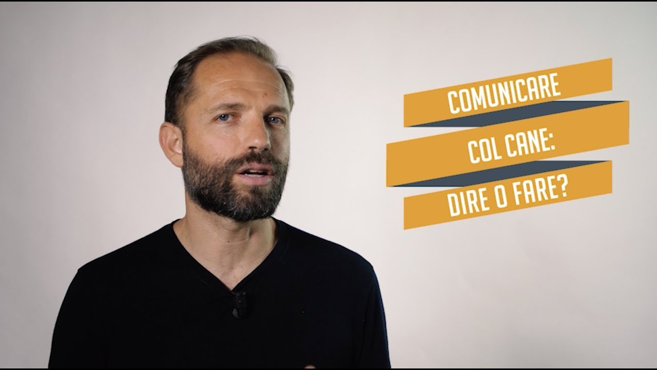 Comunicare con il cane, tra il dire e il fare è meglio il fare