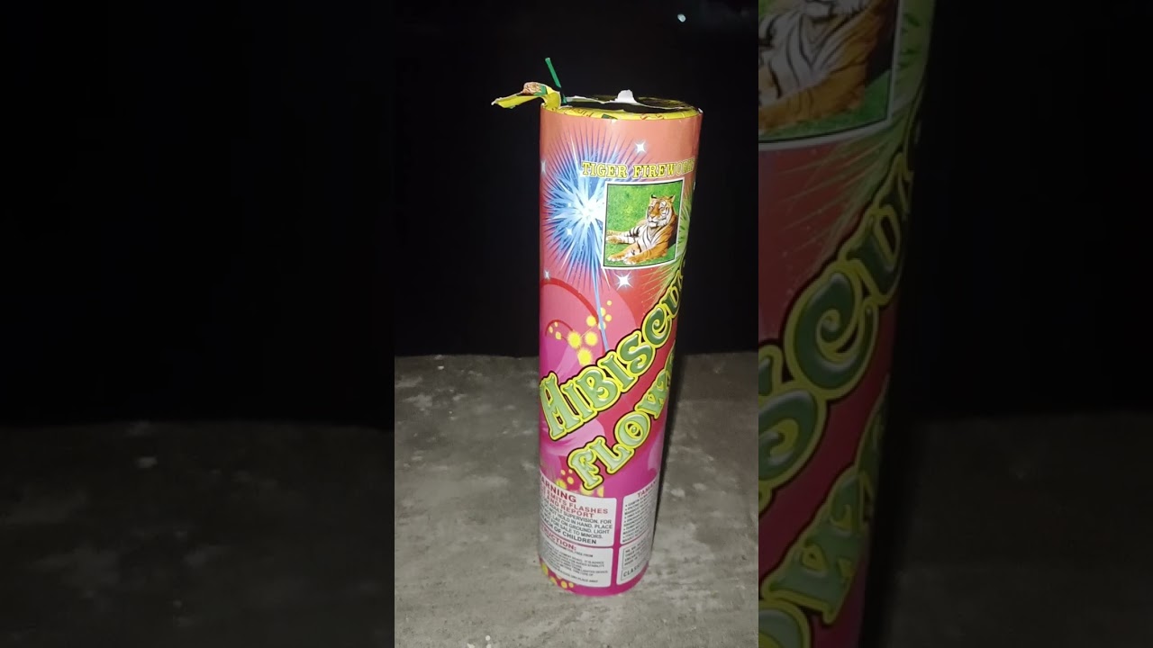 TIGER FIREWORKS TUBE FOUNTAIN 2024.                            FOR ORDERS CLICK DESCRIPTION BELOW 👇🏼