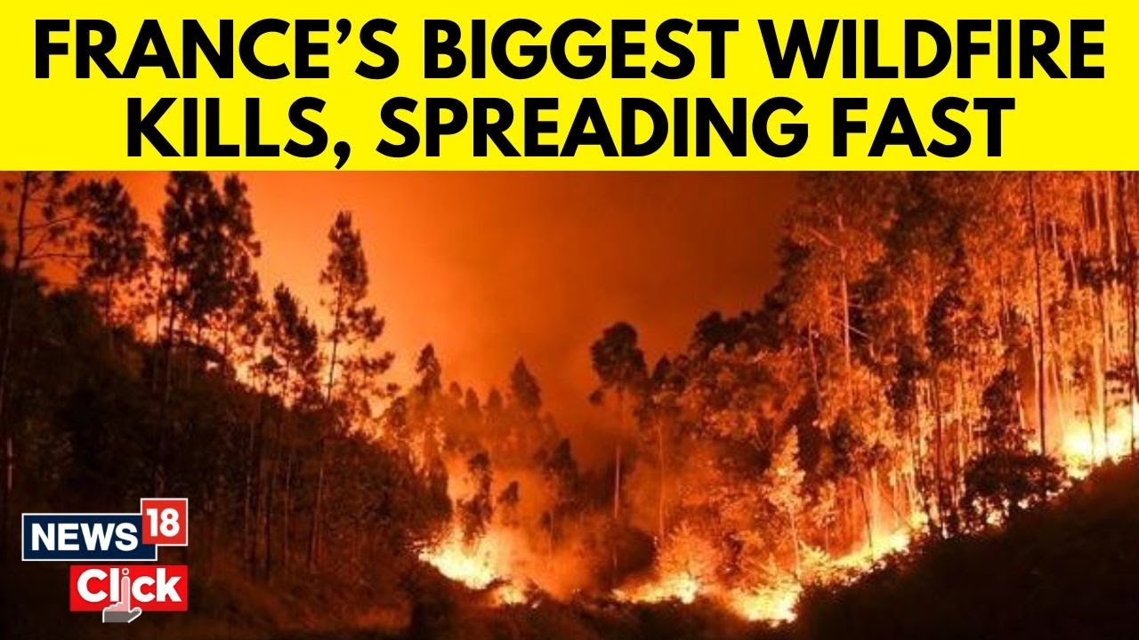 Massive Wildfire In France Leaves At Least One Dead, Nine Injured | France Wildfires | N18G