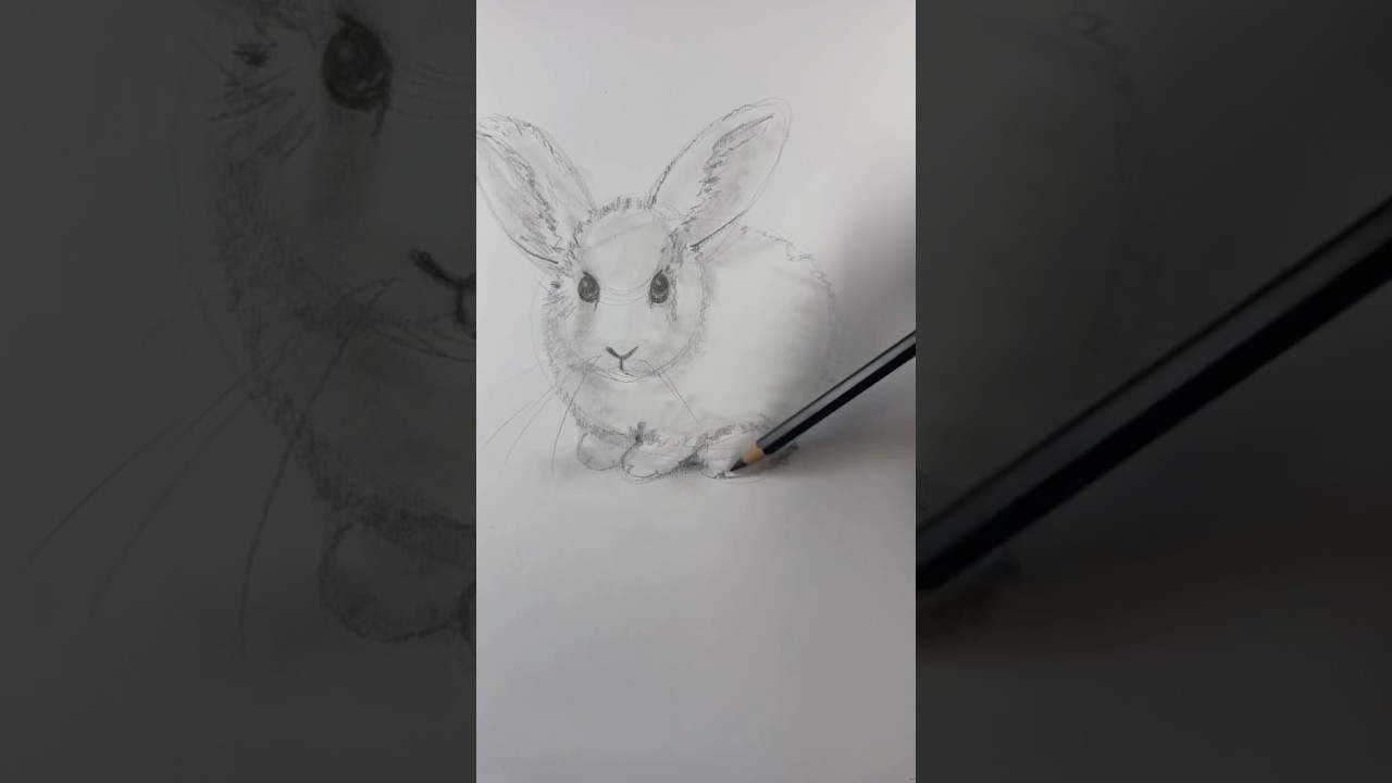 Draw a rabbit 🐇 Easy drawing lesson for beginners on how to draw a rabbit. #drawinglesson