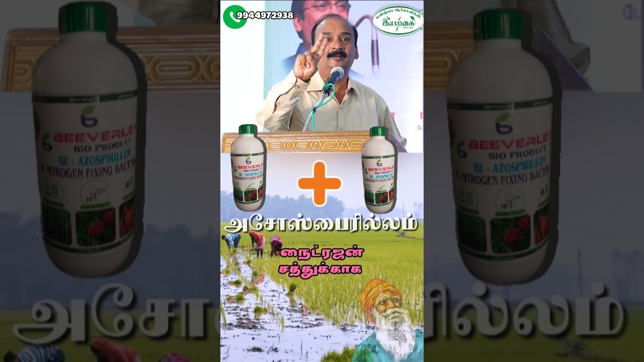 நெல் பயிர் | இயற்கை விவசாயம்  | agricultural #paddy #farming #farmertestimonial