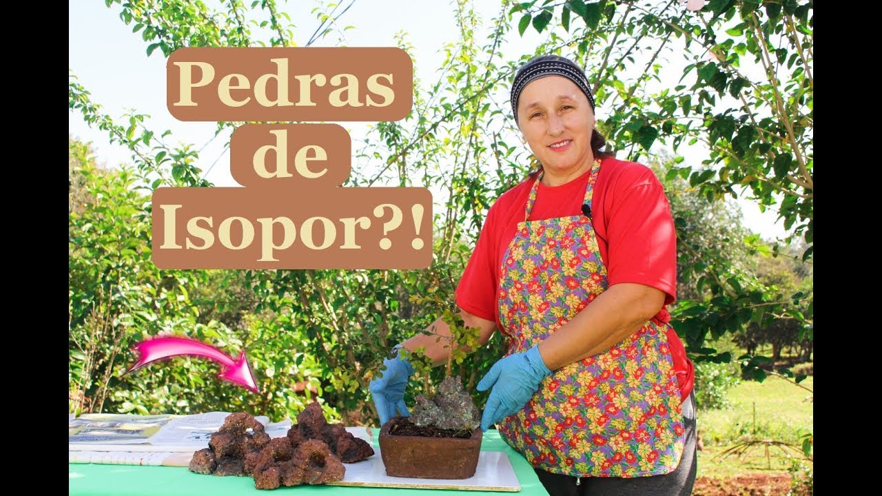 PEDRA PARA BONSAI SUPER FÁCIL!