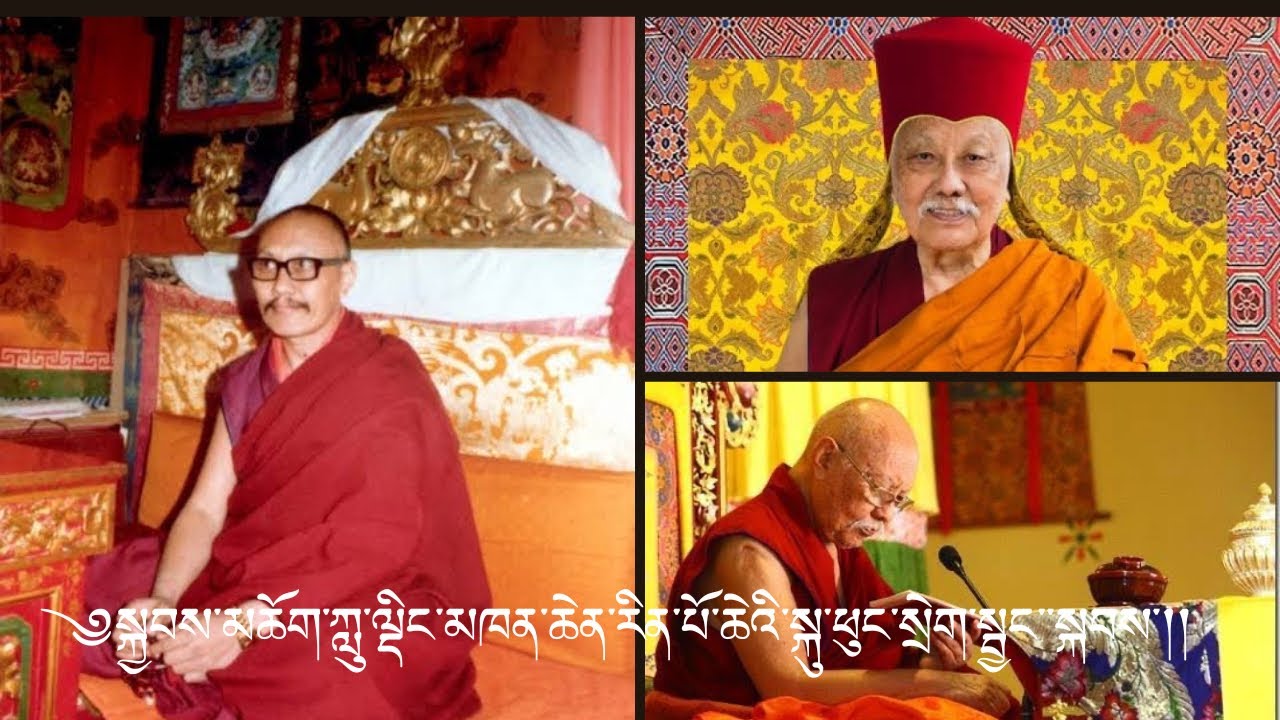 ༄ སྐྱབས་མཆོག་ཀླུ་ལྡིང་མཁན་ཆེན་རིན་པོ་ཆེའི་སྐུ་ཕུང་མཇལ་ཉིན་གཉིས་པ་།།🙏🙏🕊️