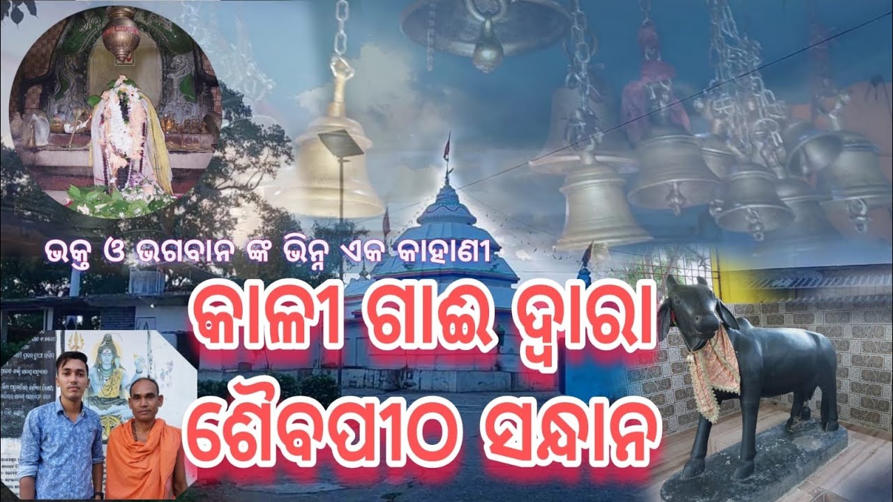 Story of Kali-Gai || Godhaneswar Temple || #birmaharajpur #godhaneswar_temple #sonepur
