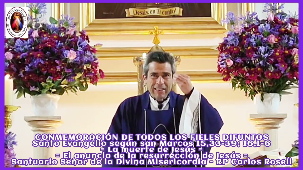 HOMILÍA - Padre Carlos Rosell, Párroco