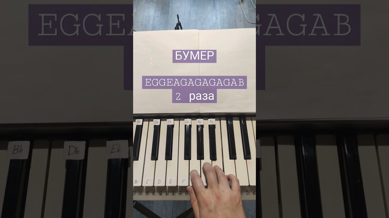 Бумер обучение на пианино 🎹