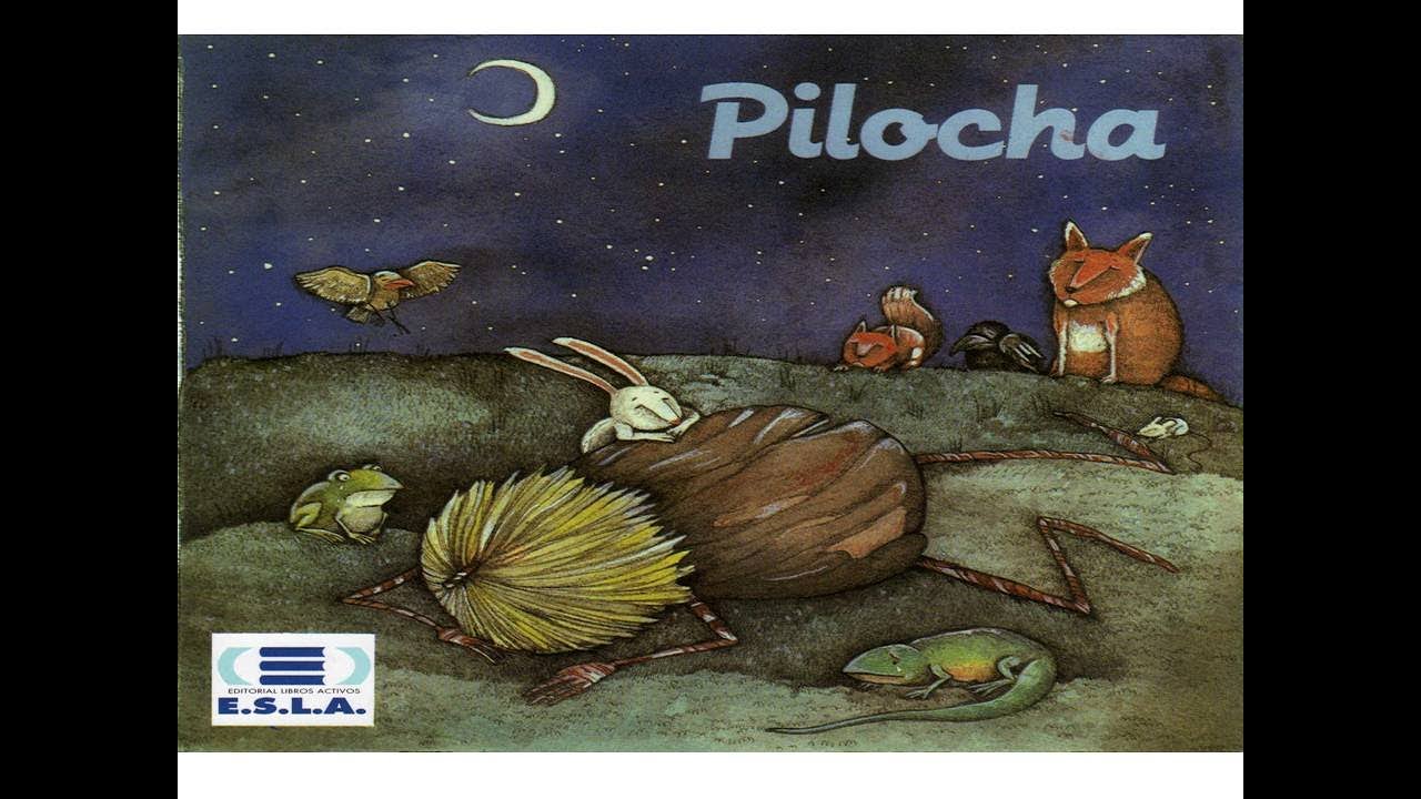 Pilocha