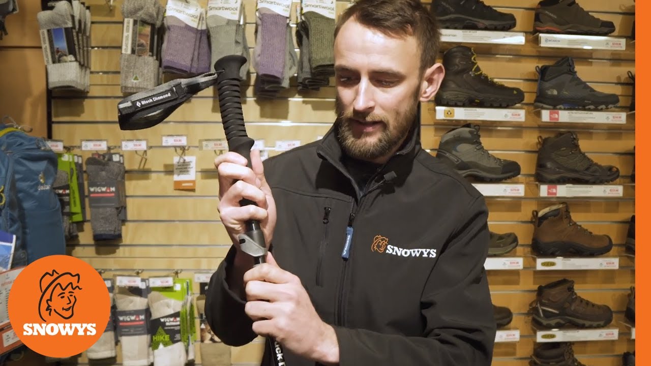 Black Diamond Distance FLZ Trekking Poles