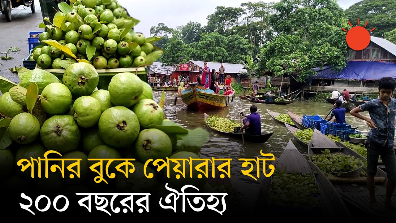 ভীমরুলির ভাসমান হাট: বর্ষায় খালে খালে পেয়ারা বেচাকেনার উৎসব | Floating Guava Market | Prothom Alo