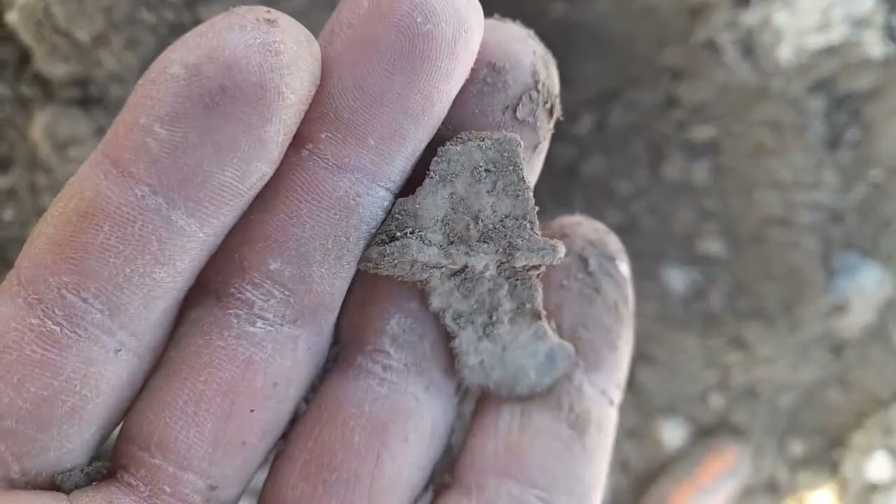 Nokta simplex ultra ile arazide tektekçilige devam #metaldetecting #treasuresearch #tektekçilik