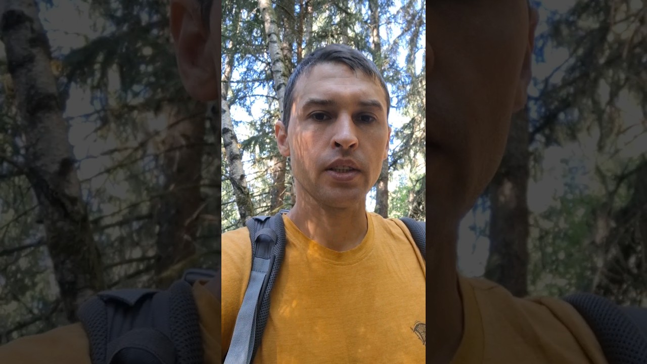 Пешком через всю Францию. Маршрут для паломников Le Chemin de Compostelle 2/4.