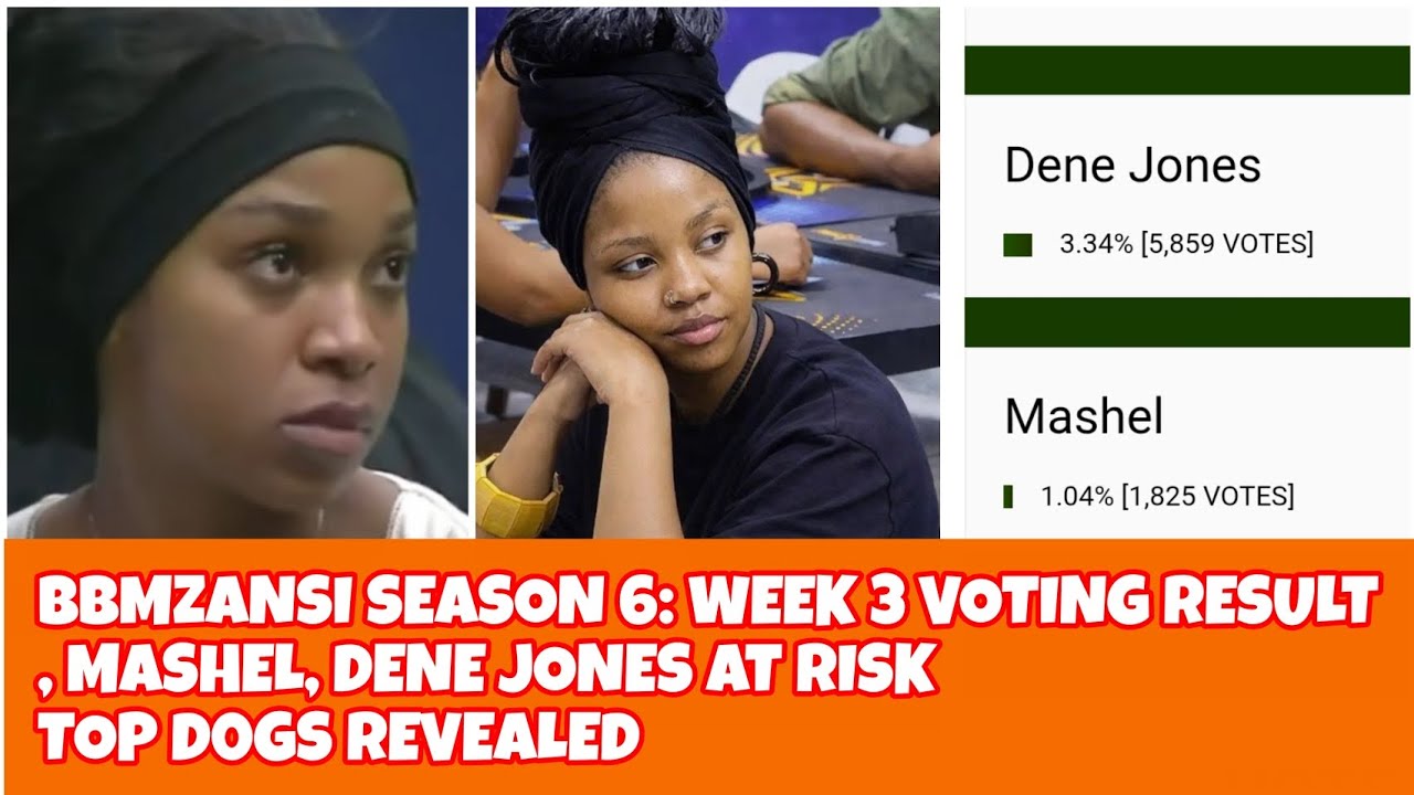 BBMZANSI SEASON 6 : WEEK 3 VOTING RESUT, MASHEL, DENE JONES AT RISK, TOP D0GS REVEALED