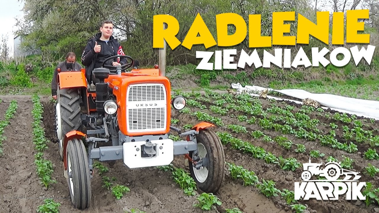 🇵🇱Obsypywanie Wczesnych Ziemniaków🥔|2022|