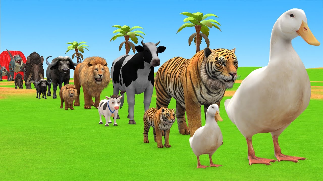 Long Slide Game with Cow Elephant Gorilla Hippopotamus Tiger 3d Animal Game Funny 3d Animals
