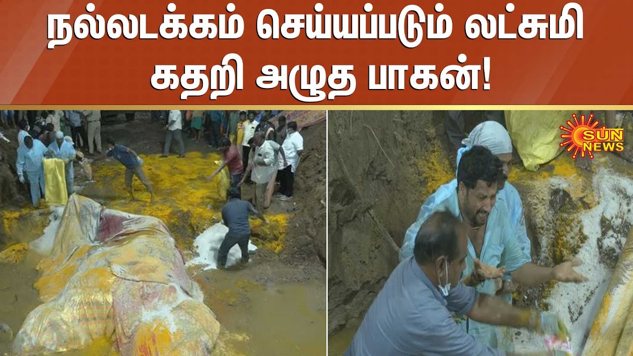 நல்லடக்கம் செய்யப்படும் லட்சுமி - கதறி அழுத பாகன்!  |#SunNews | #ElephantDeath | #ElephantLakshmi