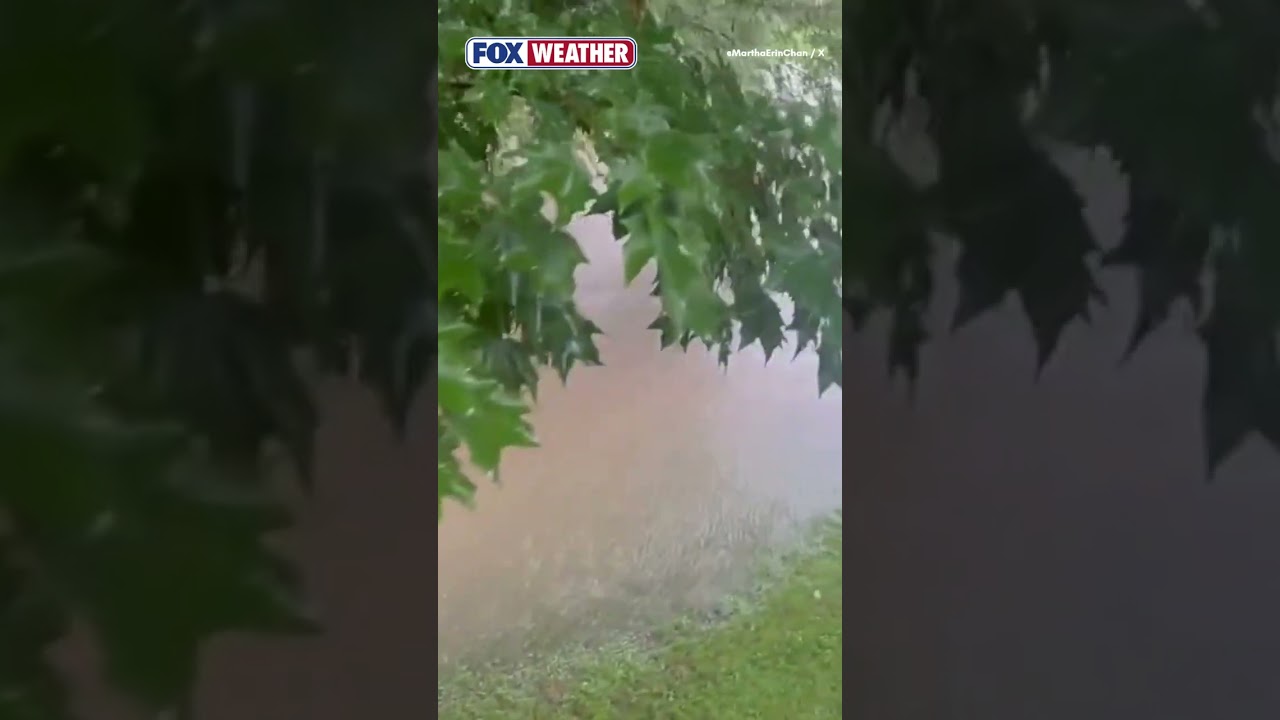 🌧️ 🛝ИГРЫ ОТМЕНЯЮТСЯ: сильный шторм и ливни разрушили все планы на отдых на свежем воздухе