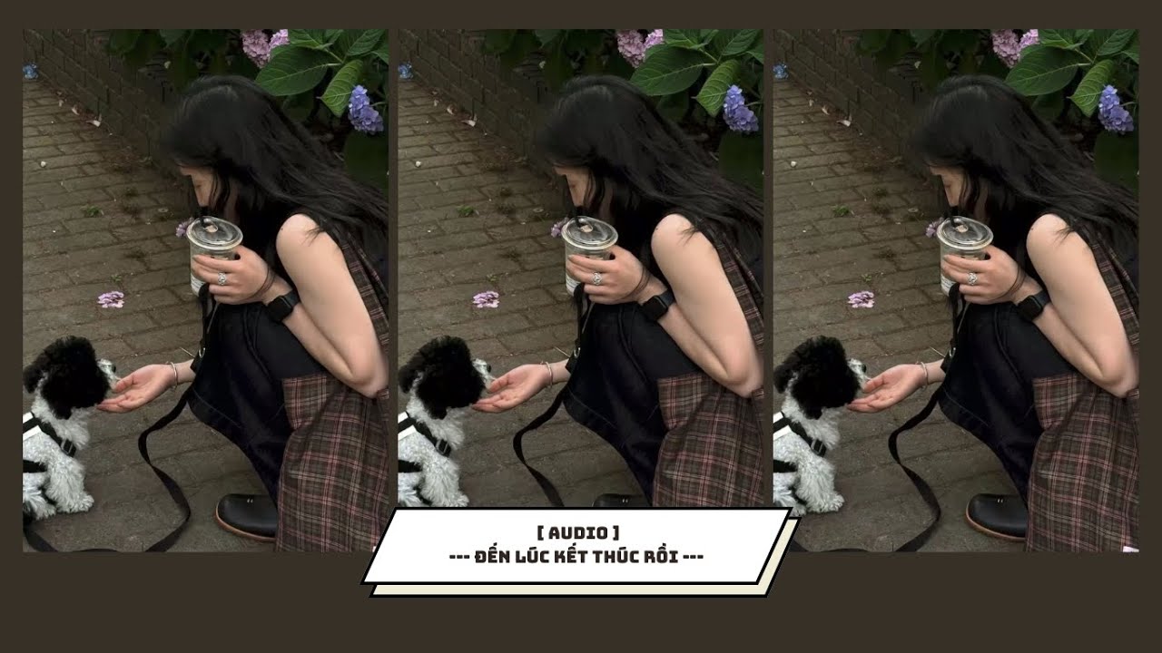 [ REVIEW ] : || ĐẾN LÚC KẾT THÚC RỒI || RIN~