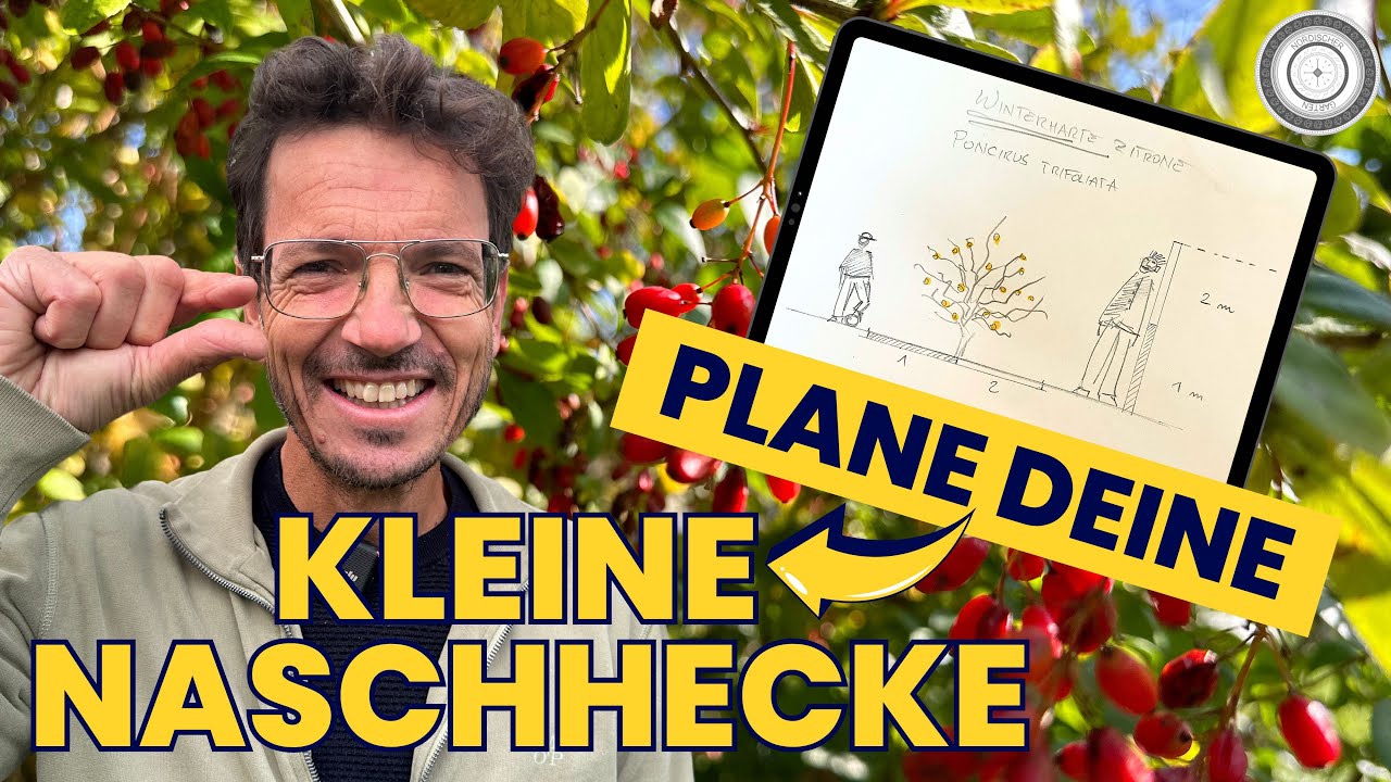 Die kleine NASCHHECKE - SUPER LECKER! 🍈