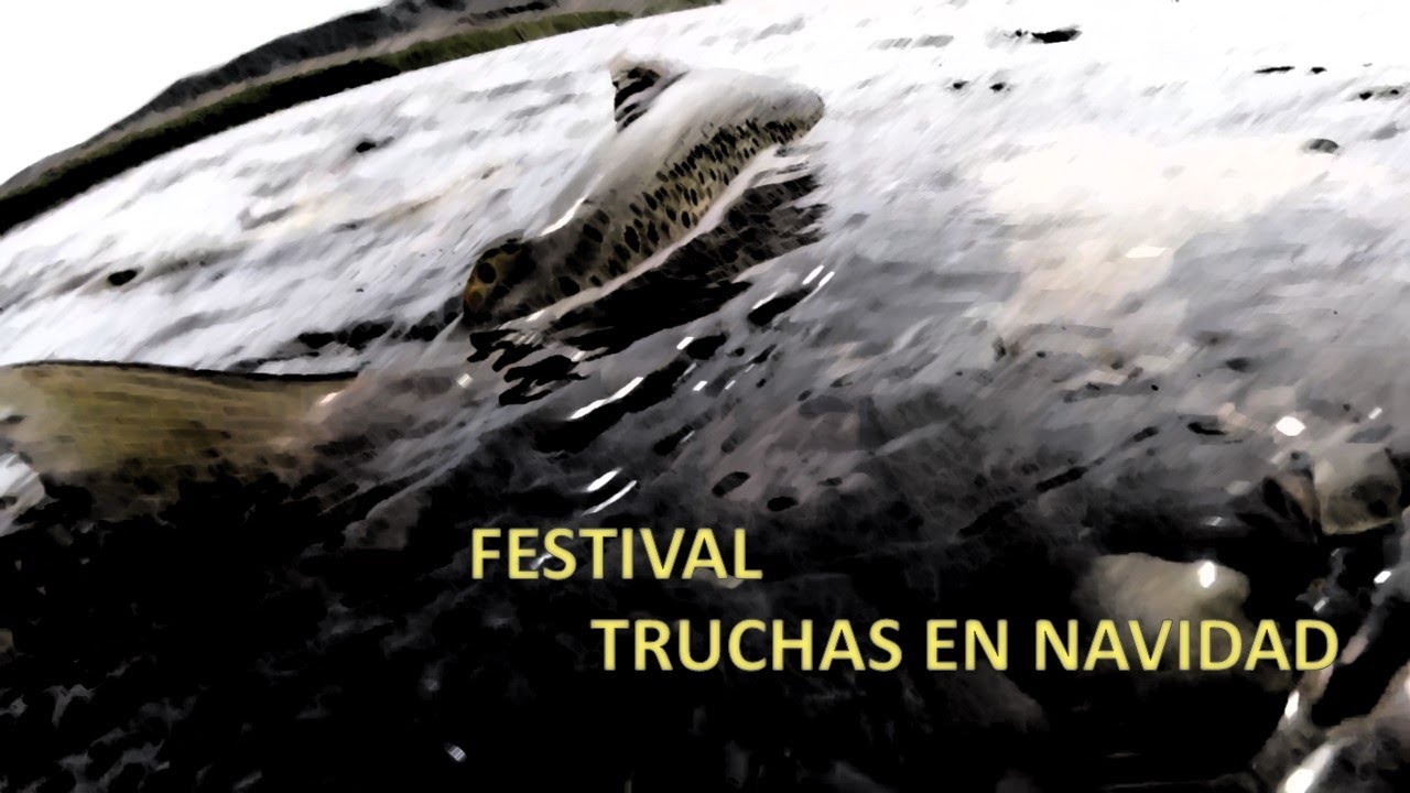 Festival de truchas en Navidad, Pesca en río Penitente XII Magallanes