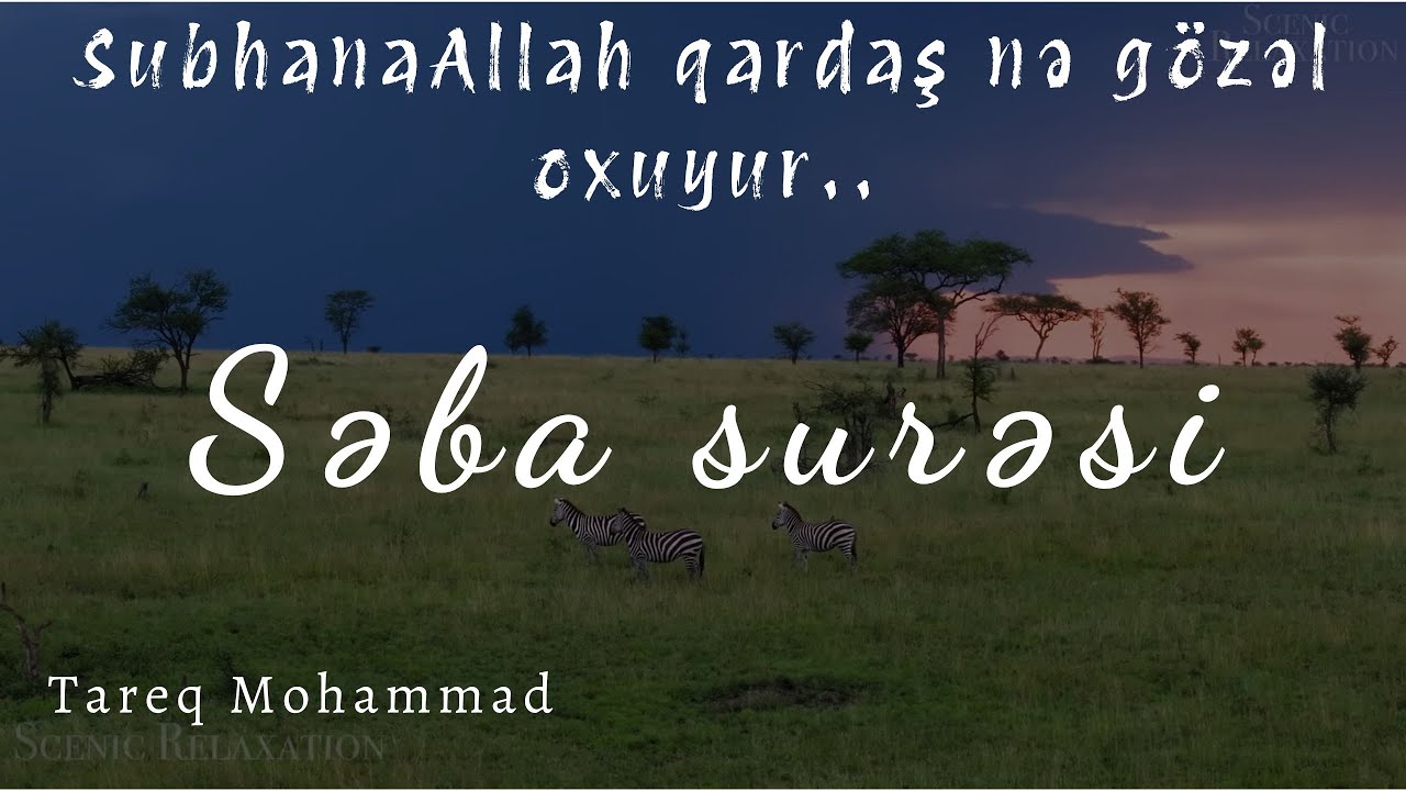 Səba surəsi - Tareq Mohammad / سورة سبإ - القارئ طارق محمد